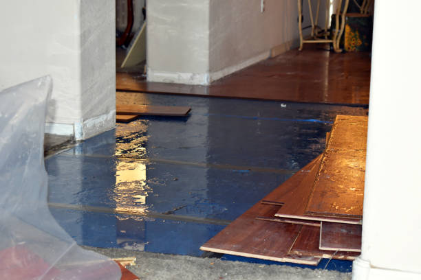 Professional Basement Flood Cleanup technician working in Fountain Inn, SC